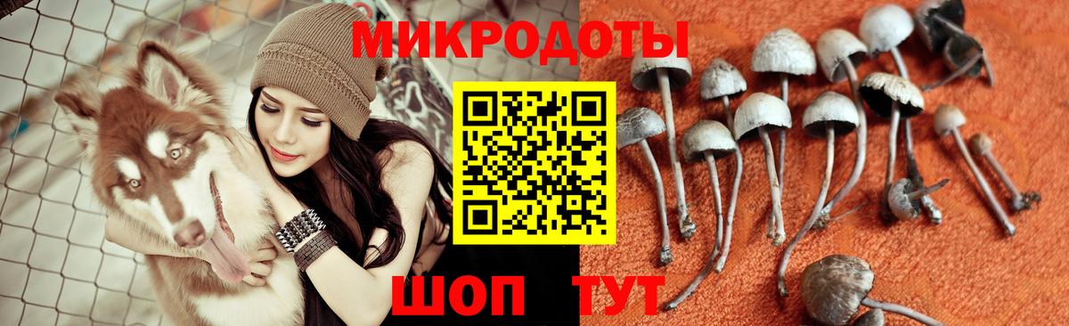 Псилоцибиновые грибы GOLDEN TEACHER Оренбург